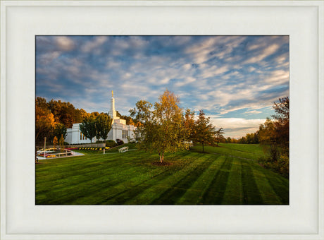 Palmyra Temple - From on High - framed giclee canvas