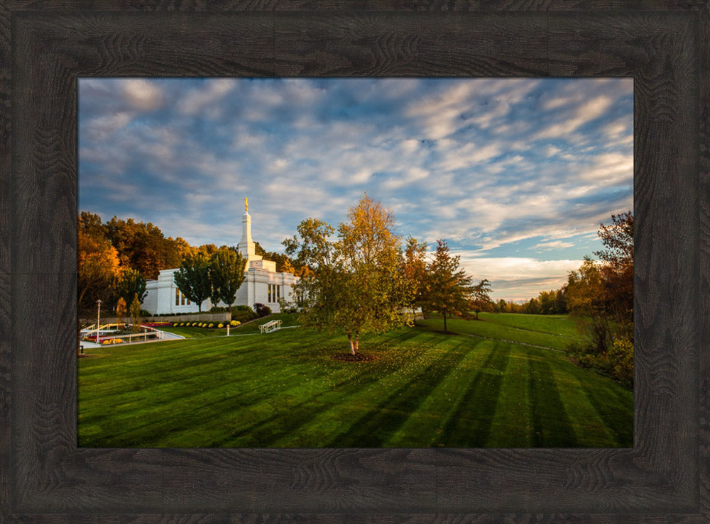 Palmyra Temple - From on High