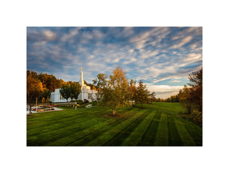 Palmyra Temple - From on High