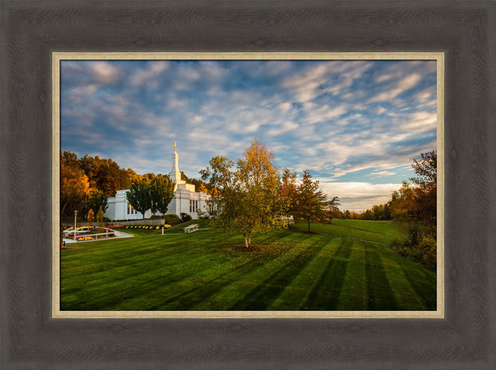 Palmyra Temple - From on High - framed giclee canvas