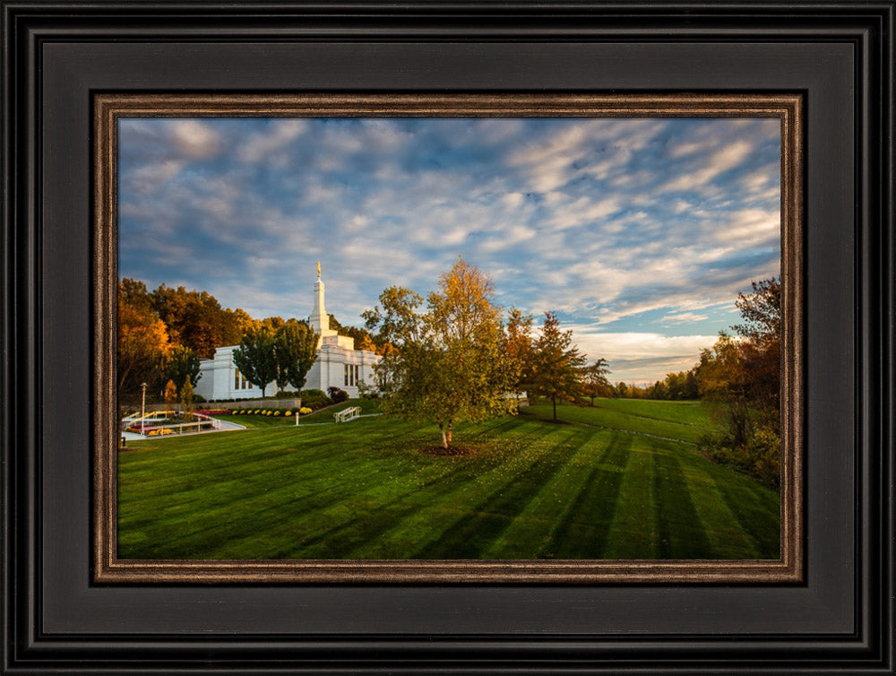 Palmyra Temple - From on High - framed giclee canvas