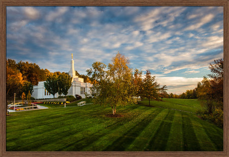 Palmyra Temple - From on High