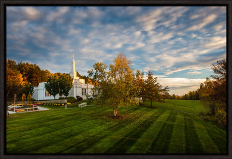 Palmyra Temple - From on High