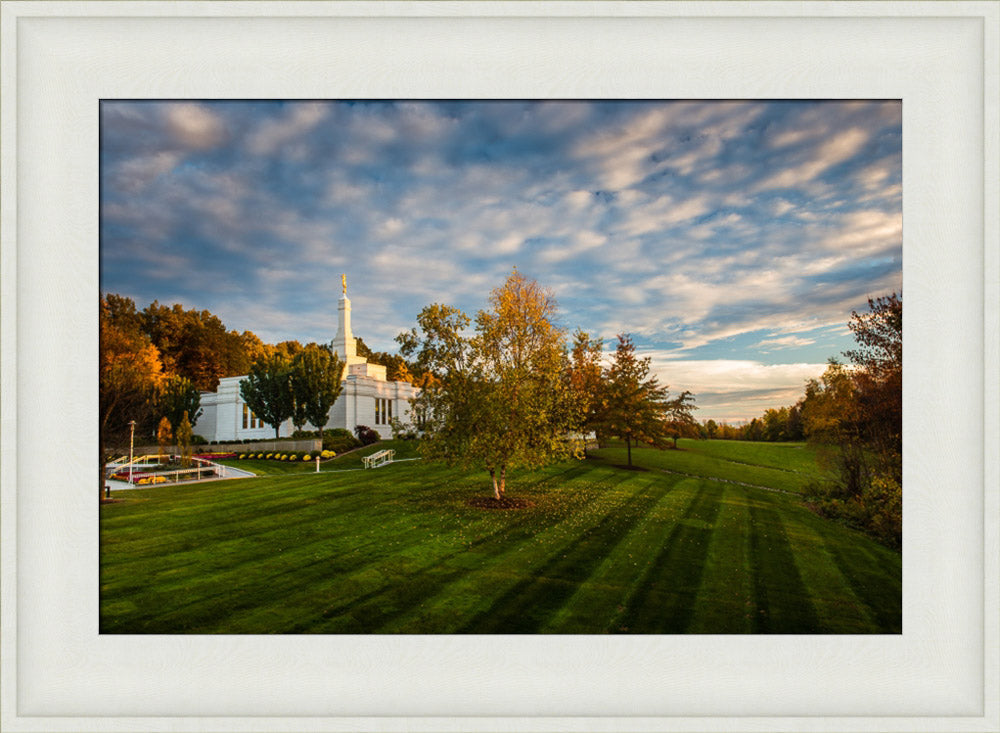 Palmyra Temple - From on High