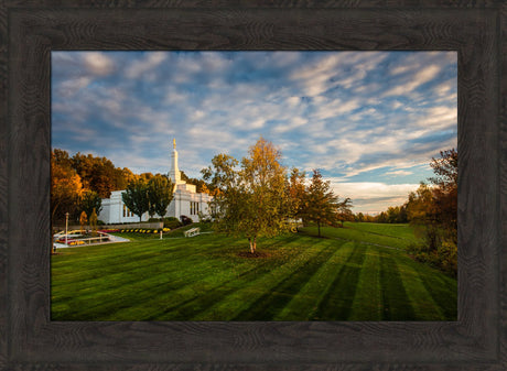 Palmyra Temple - From on High