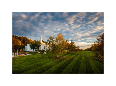 Palmyra Temple - From on High