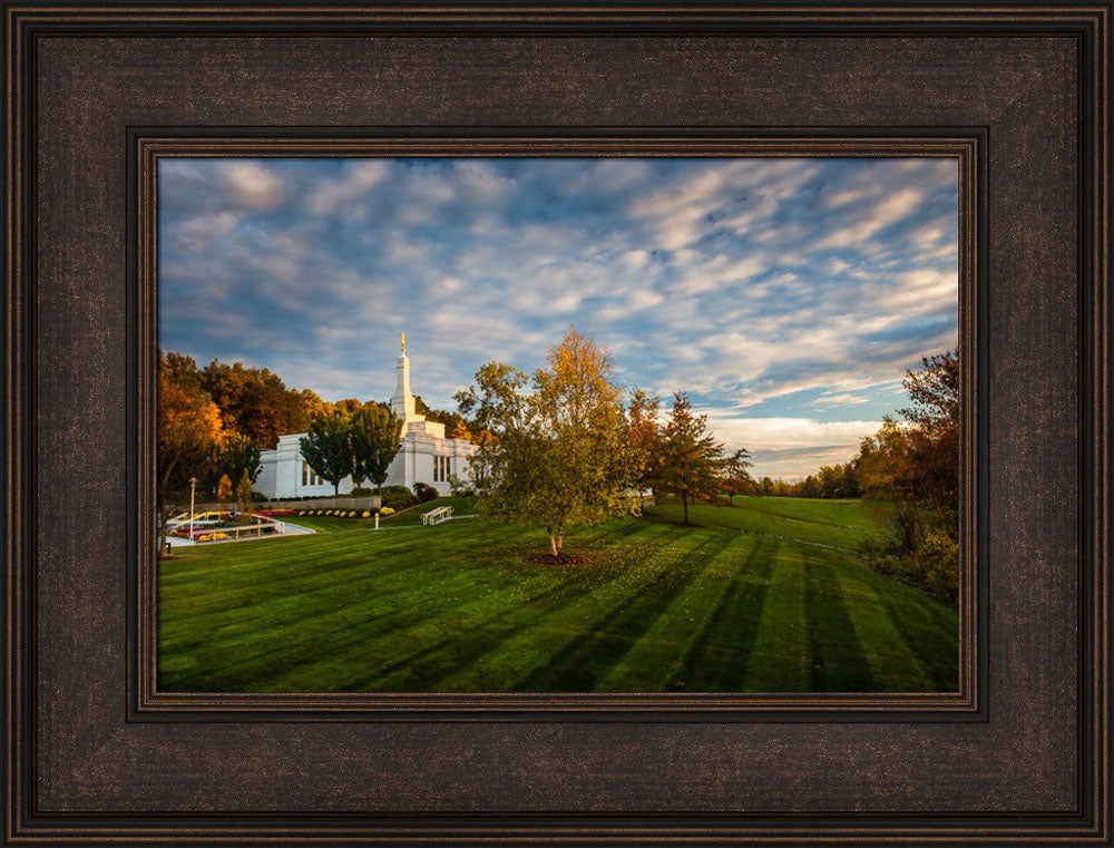 Palmyra Temple - From on High