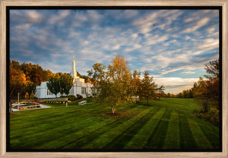 Palmyra Temple - From on High