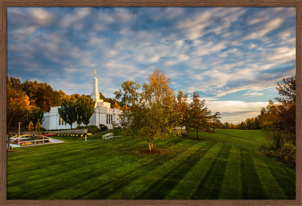 Palmyra Temple - From on High - framed giclee canvas