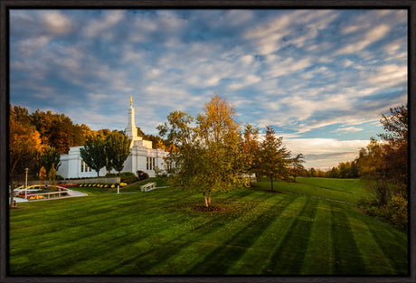 Palmyra Temple - From on High