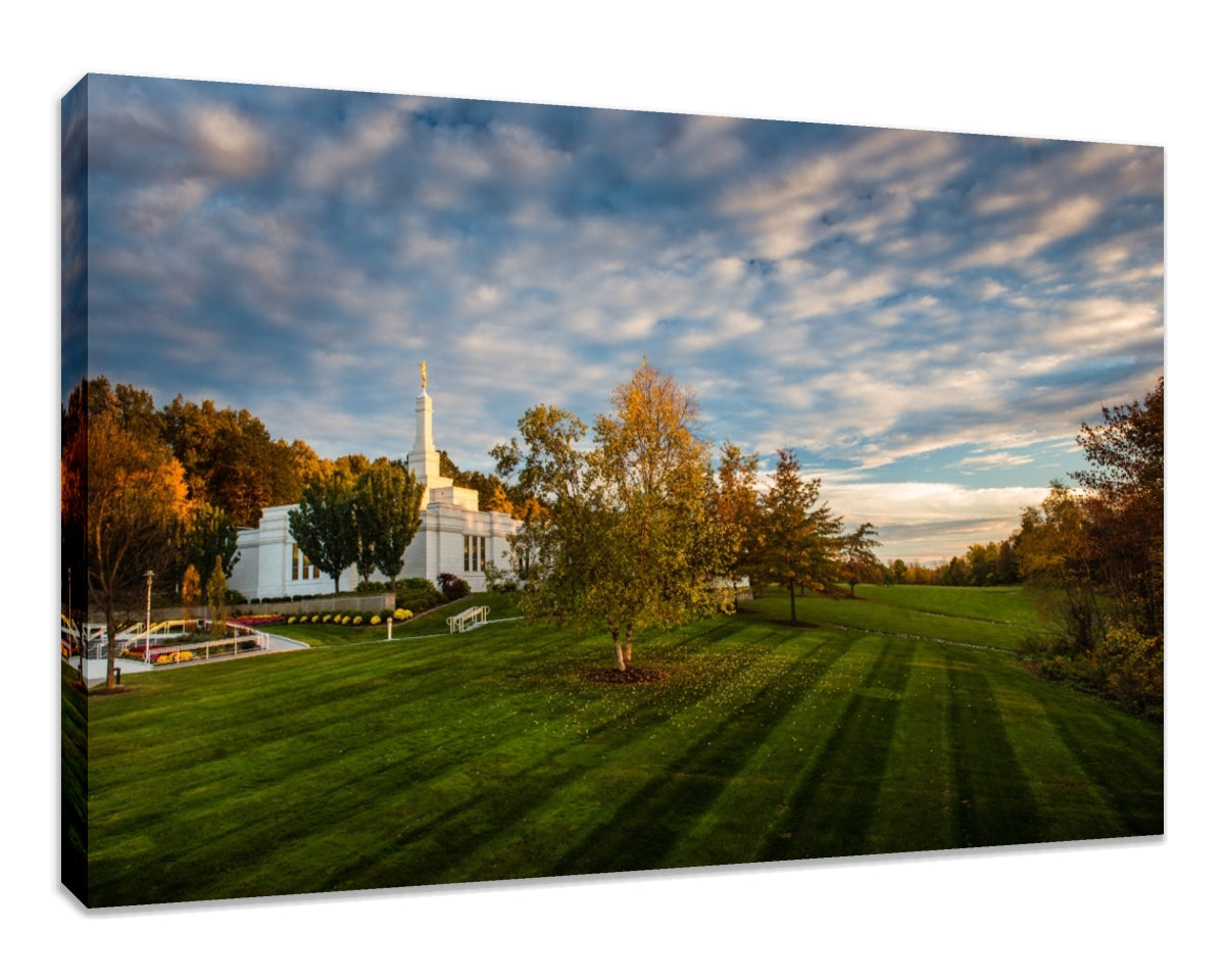 Palmyra Temple - From on High