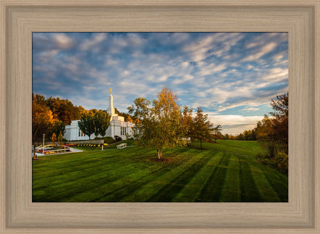 Palmyra Temple - From on High