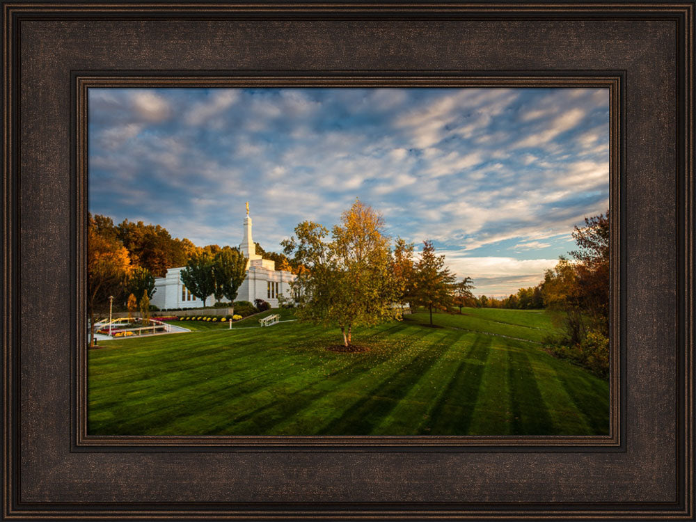 Palmyra Temple - From on High