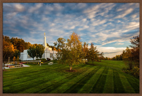 Palmyra Temple - From on High - framed giclee canvas