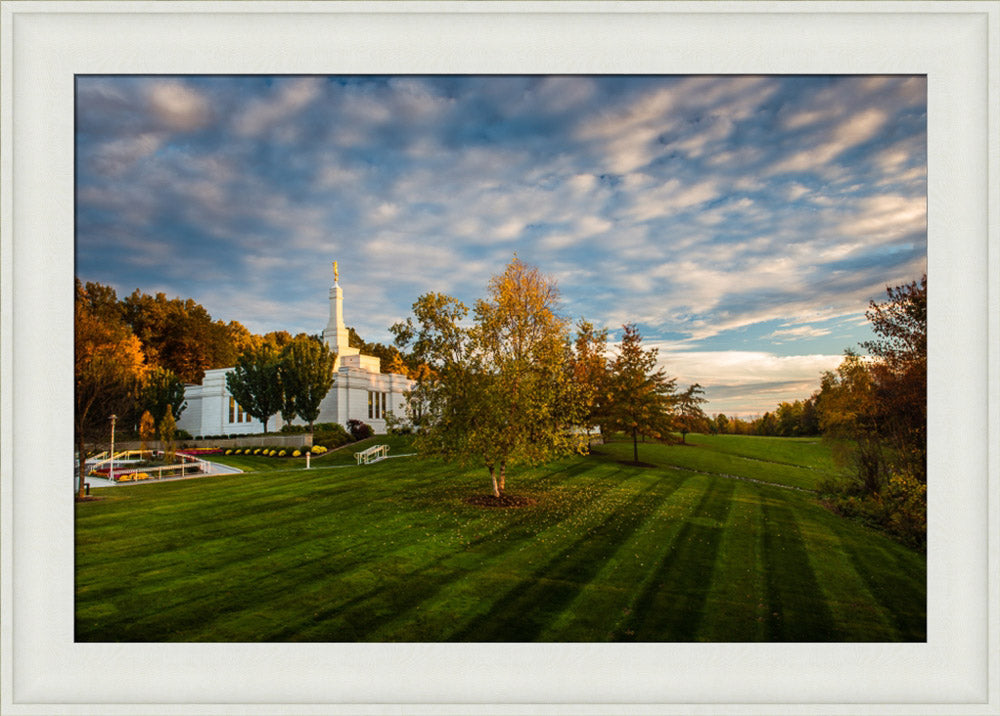 Palmyra Temple - From on High