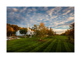 Palmyra Temple - From on High