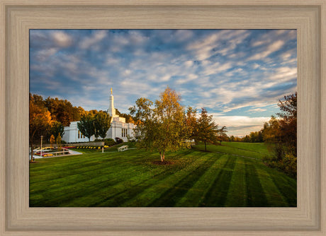 Palmyra Temple - From on High