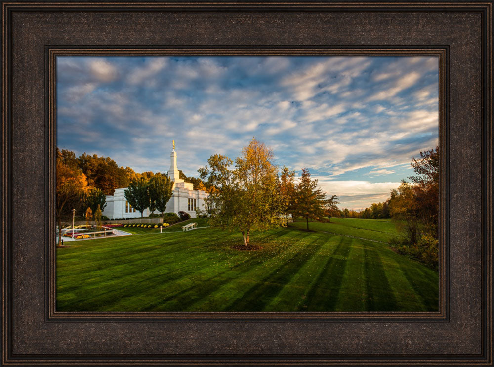 Palmyra Temple - From on High