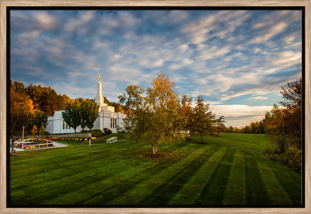 Palmyra Temple - From on High