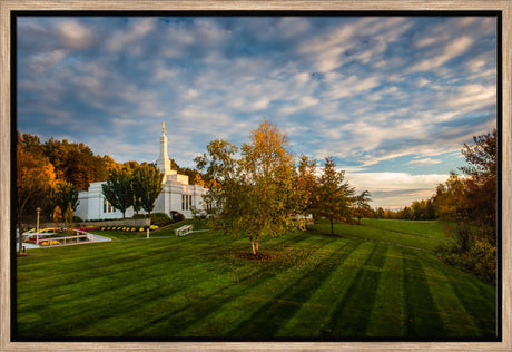 Palmyra Temple - From on High - framed giclee canvas