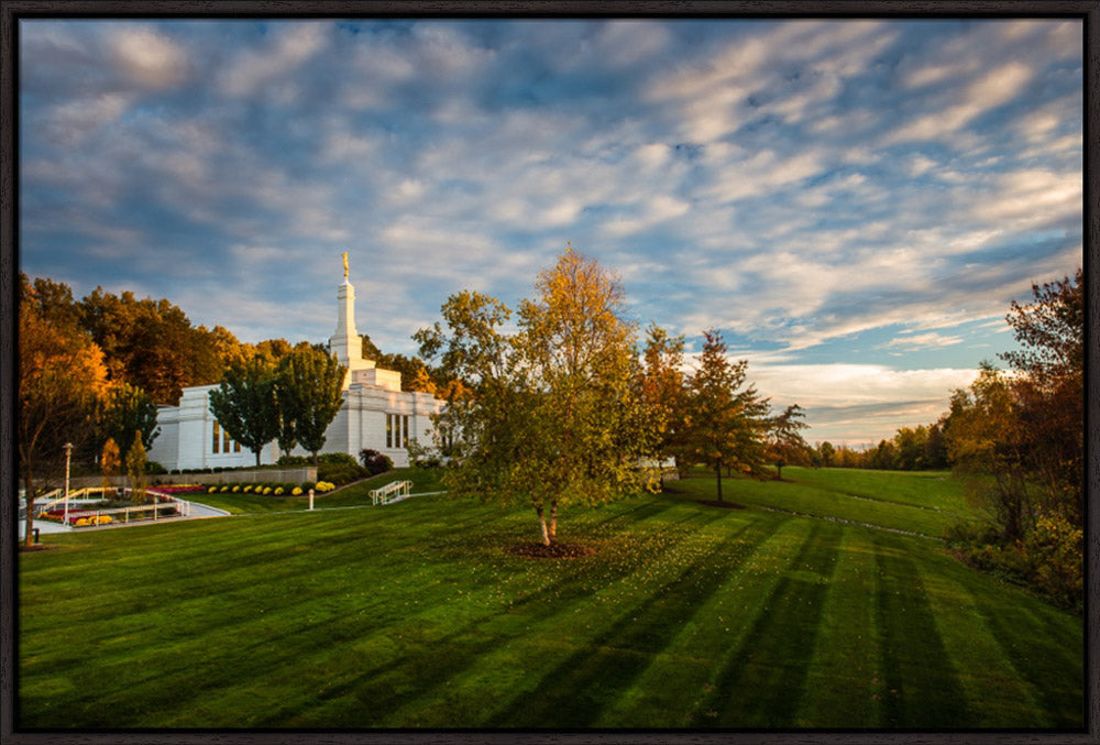 Palmyra Temple - From on High