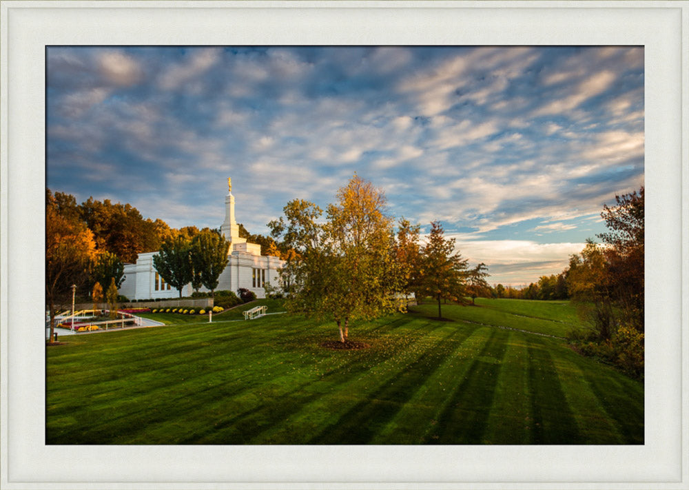 Palmyra Temple - From on High