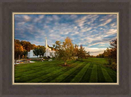 Palmyra Temple - From on High