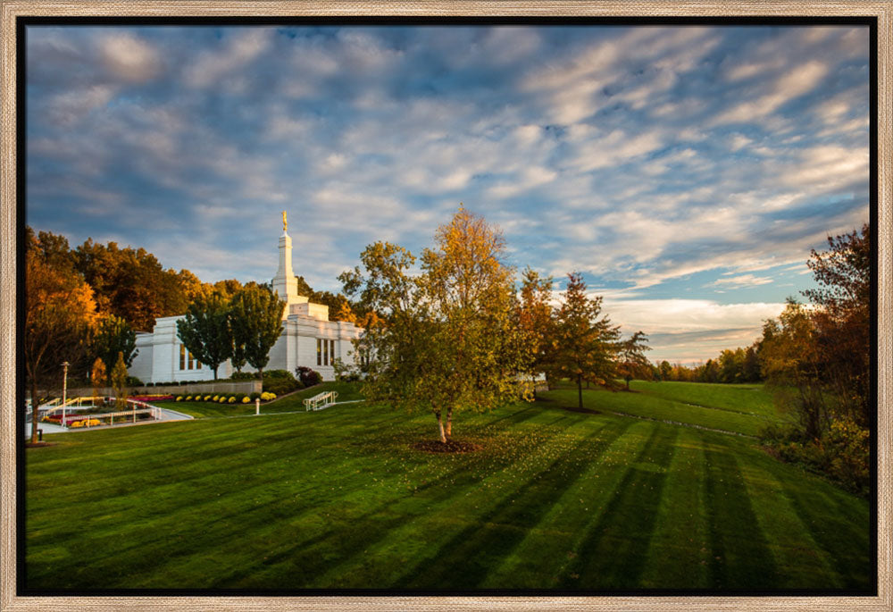 Palmyra Temple - From on High - framed giclee canvas