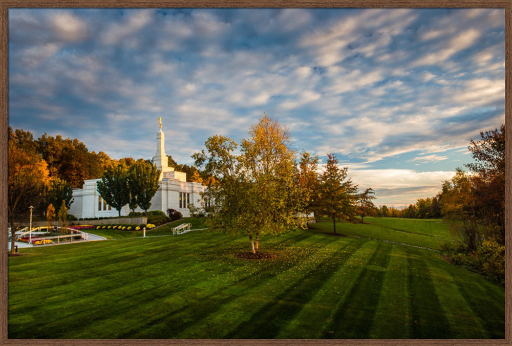 Palmyra Temple - From on High - framed giclee canvas