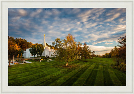 Palmyra Temple - From on High