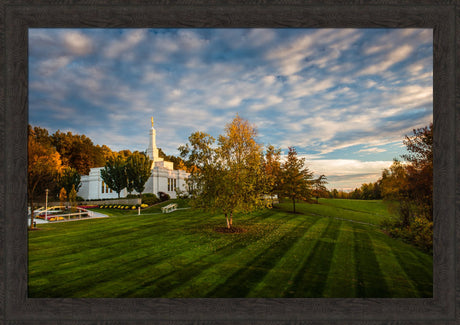 Palmyra Temple - From on High