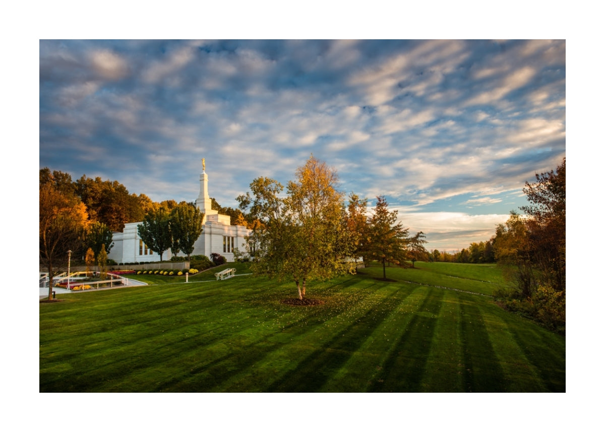 Palmyra Temple - From on High