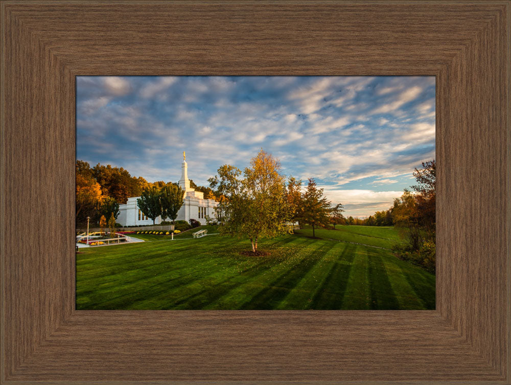 Palmyra Temple - From on High