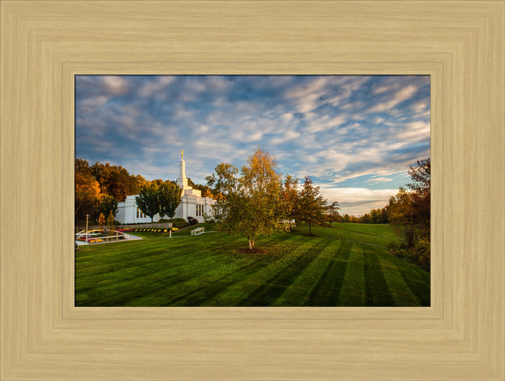 Palmyra Temple - From on High