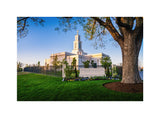 Oklahoma City Temple - Summer Evening