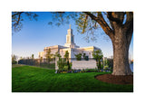 Oklahoma City Temple - Summer Evening