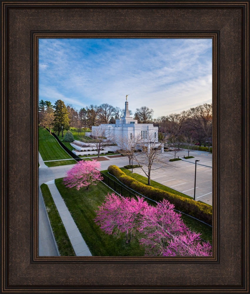 Winter Quarters Temple - Purple Spring by Scott Jarvie | Altus