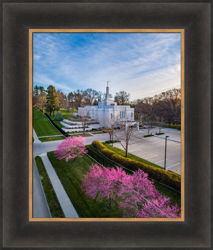 Winter Quarters Temple - Purple Spring by Scott Jarvie | Altus
