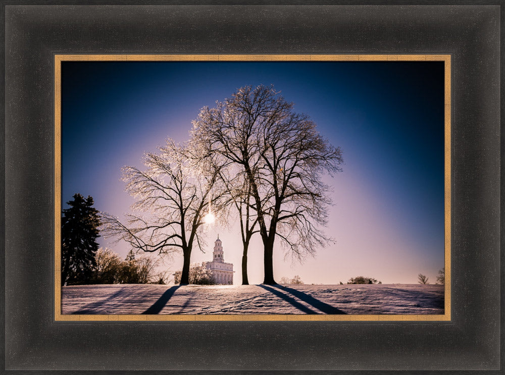 Nauvoo Temple - After an Ice Storm by Scott Jarvie