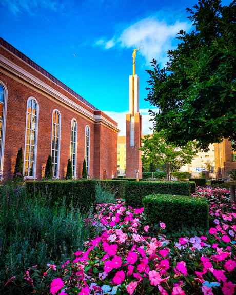 Copenhagen Denmark Temple - Flowers - 8x10 giclee paper print