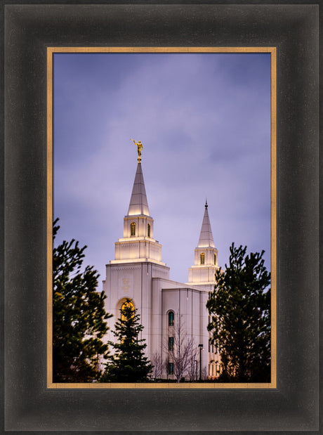 Kansas City Temple - Through the Trees by Scott Jarvie