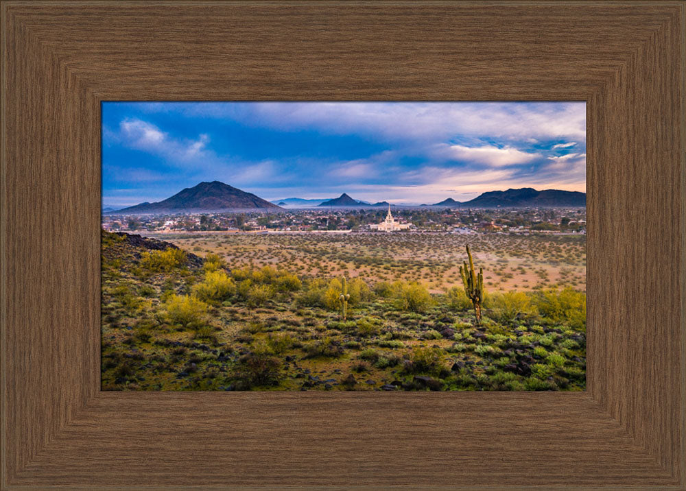 Phoenix Temple - Desert View by Scott Jarvie