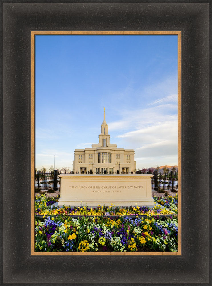 Payson Temple - Signs and Flowers by Scott Jarvie