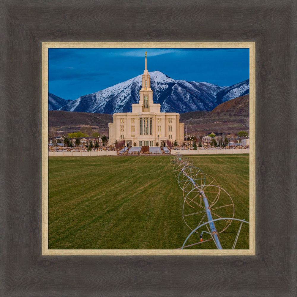 Payson Temple - The Farmers Temple by Scott Jarvie