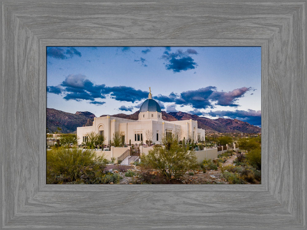 Tucson Temple - Desert Landscape by Scott Jarvie