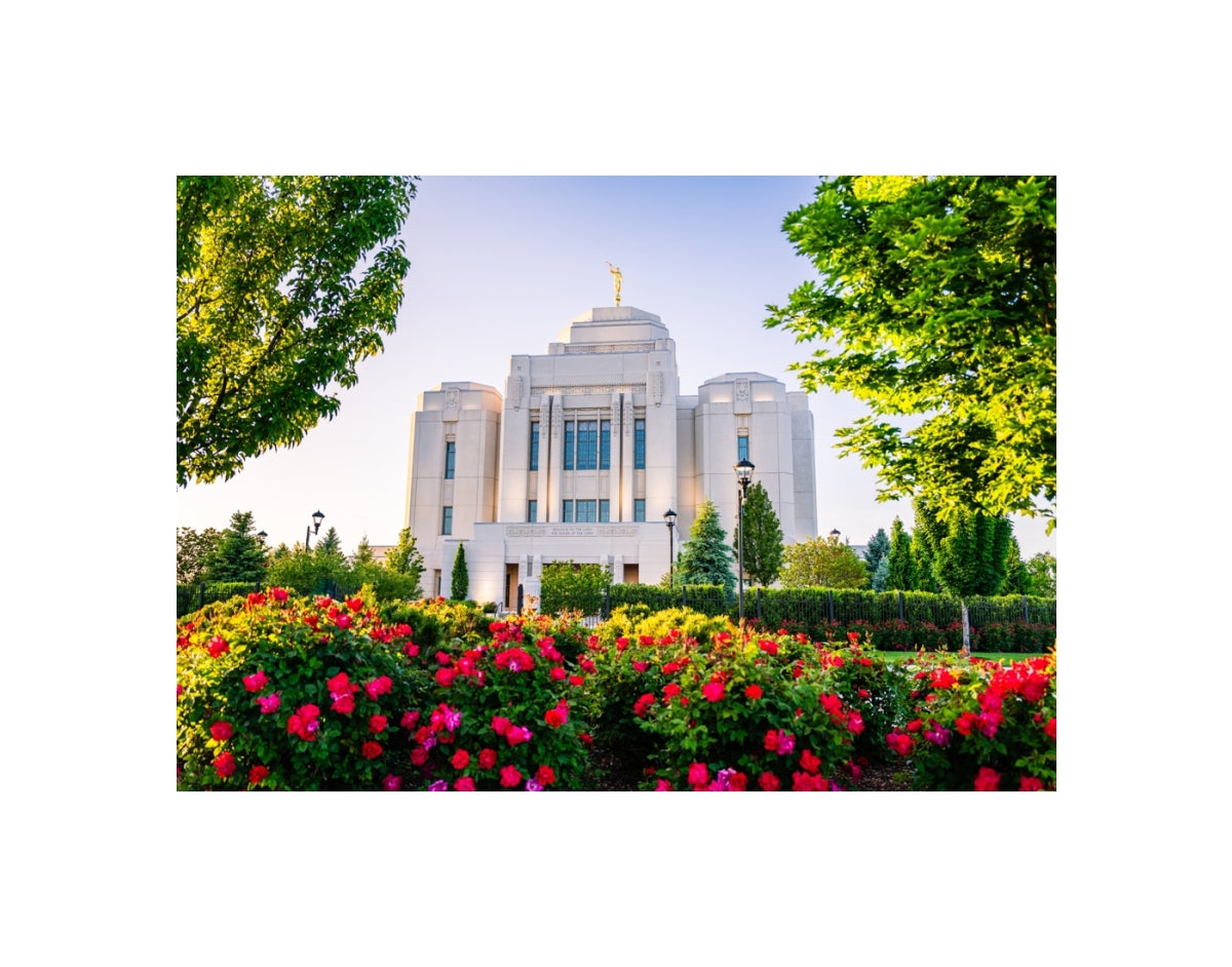 Meridian Temple - Flowers