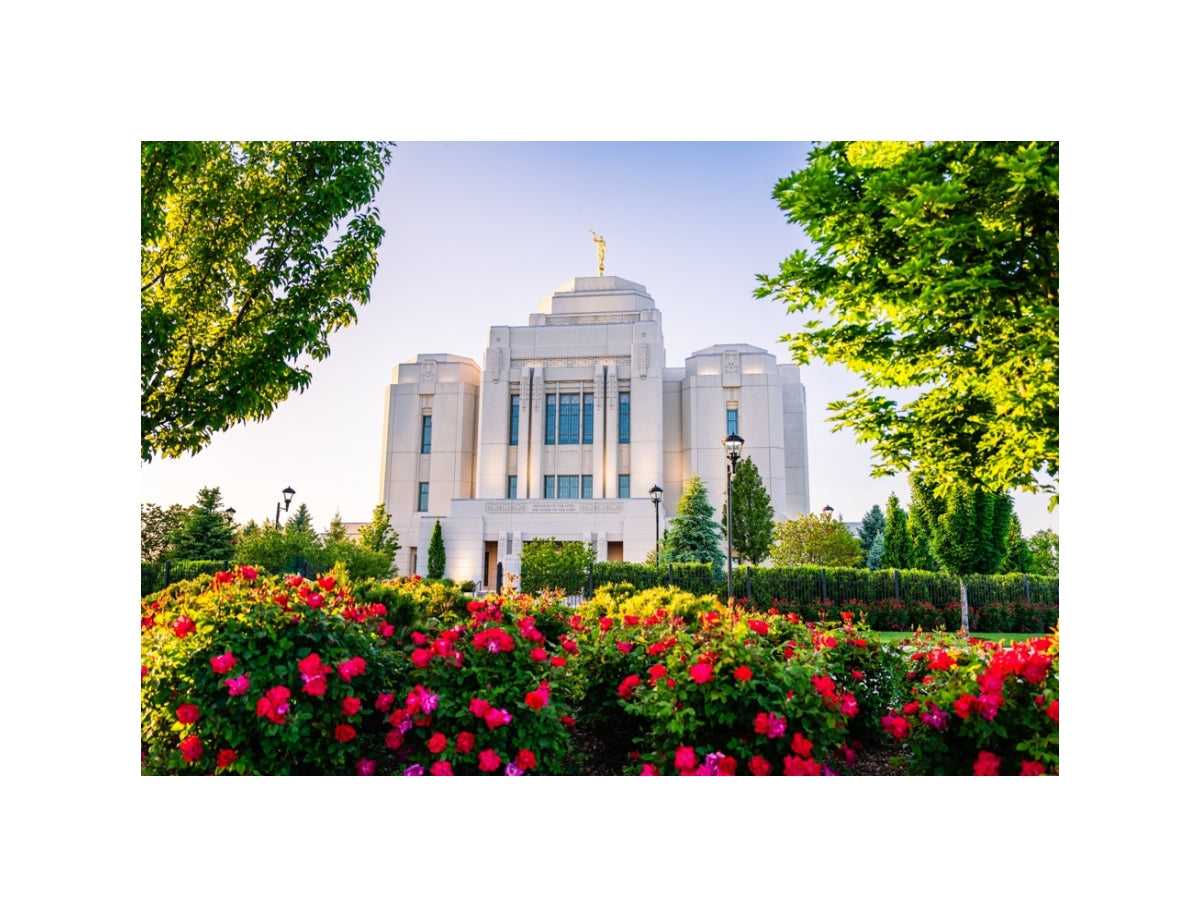 Meridian Temple - Flowers