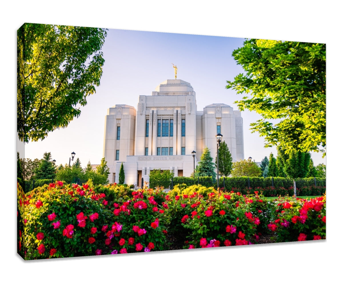 Meridian Temple - Flowers