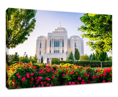 Meridian Temple - Flowers