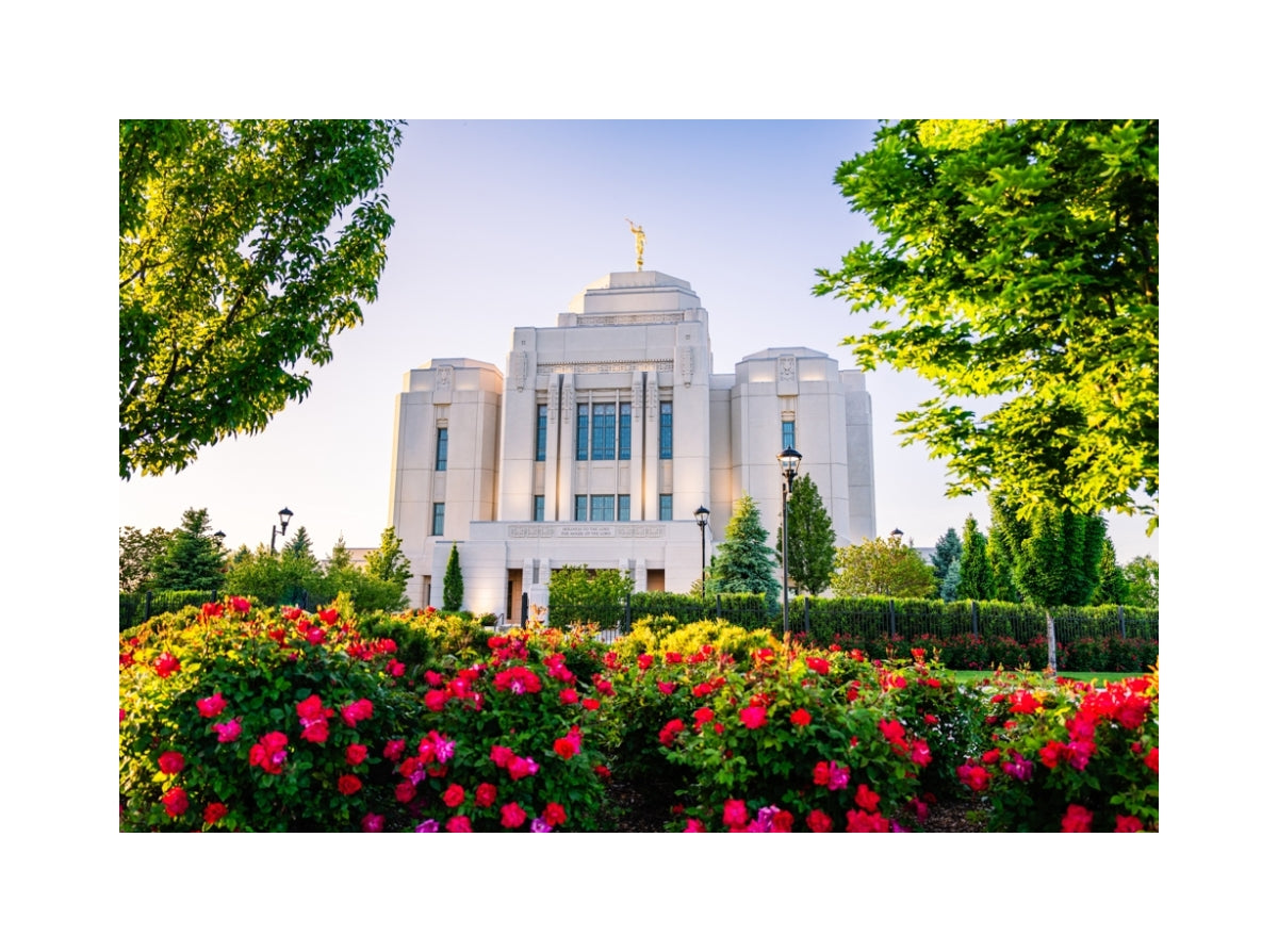 Meridian Temple - Flowers